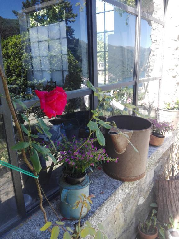 Sweet Home Faggeto Lario Extérieur photo